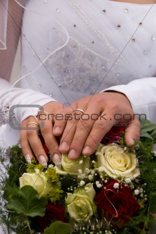 Hands of newlyweds.
