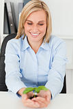 Businesswoman looking at little green plant