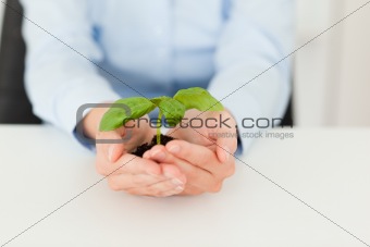 Woman holding a little green plant