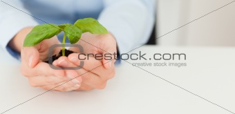 Woman holding a little plant