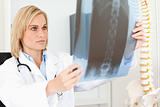 Serious doctor looking at x-ray