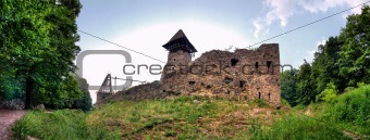 Nevitsky Castle ruins Ukraine Built in 13th century