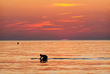 Surfer in the water at sundown