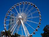 White Ferris Wheel
