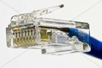 network plug