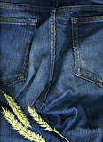 Denim jeans and wheat