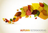 Fall abstract floral background