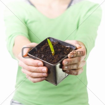 Female holding pot with early plant