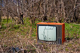 Discarded television set in the forest