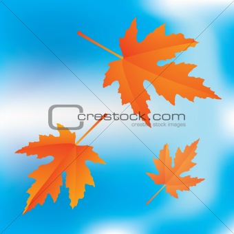 falling leaves on sky background