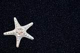 starfish on black sand
