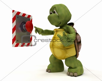 Tortoise with push button