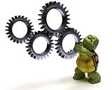 Tortoise with gears