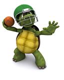 Tortoise throwing an american football