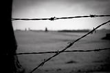barbed wire fence in concentration camp