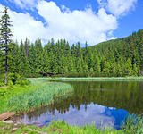 Summer mountain forest lake 