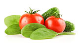 fresh tomato vegetables 