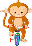 Monkey  on Bicycle