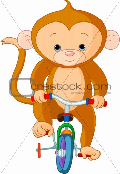 Monkey  on Bicycle