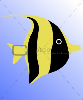 fish under water