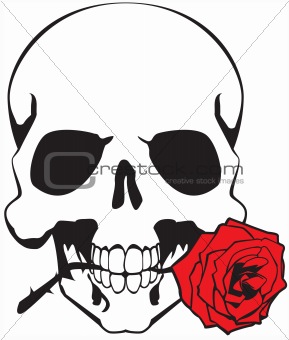 skull & rose
