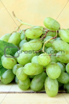 branch of green grapes on a wooden background