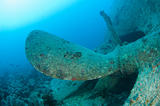 Propeller on a large shipwreck