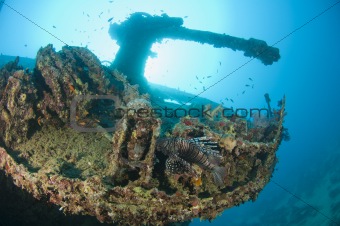 Gun on a the stern of a large shipwreck