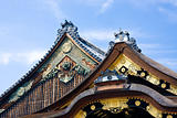 Japanese temple roofs
