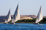Feluccas on the Nile