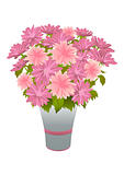 Bouquet of pink asters in blue vase
