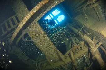 Diver exploring inside a shipwreck