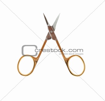 Manicure Scissors On White