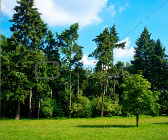 Typical Polish landscape