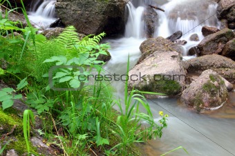 waterfall stream in summer woods