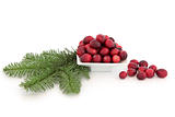 Cranberry Fruit and Spruce