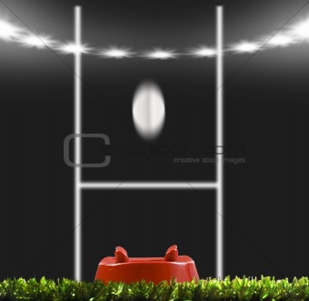 Rugby ball kicked to the posts on a rugby field