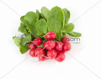 Fresh radishes