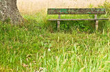 park bench