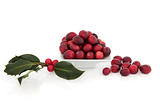 Cranberry Fruit and Holly