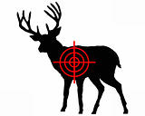 Red deer crosshair