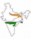 Crocodile India
