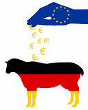 German sheep and european subsidies