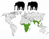 Elephants range