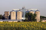 View of grain silos