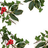 Holly and Ivy Border