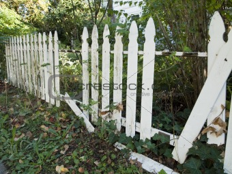 White Picket Fence Falling Apart
