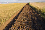 first tillage trench in the crop field