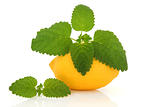 Lemon Fruit and Lemon Balm Herb