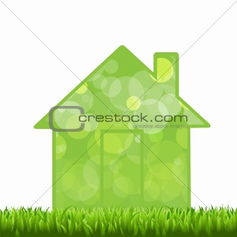 Grass And House